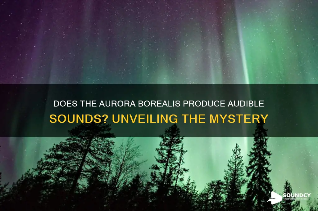 does the aurora make sound
