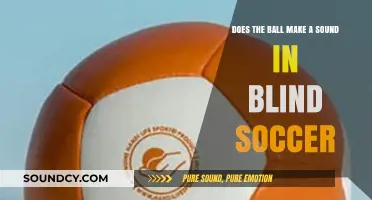 Does the Ball Make a Sound in Blind Soccer? Exploring the Game's Unique Dynamics