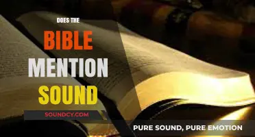 Does the Bible Mention Sound? Exploring Scripture's Sonic References