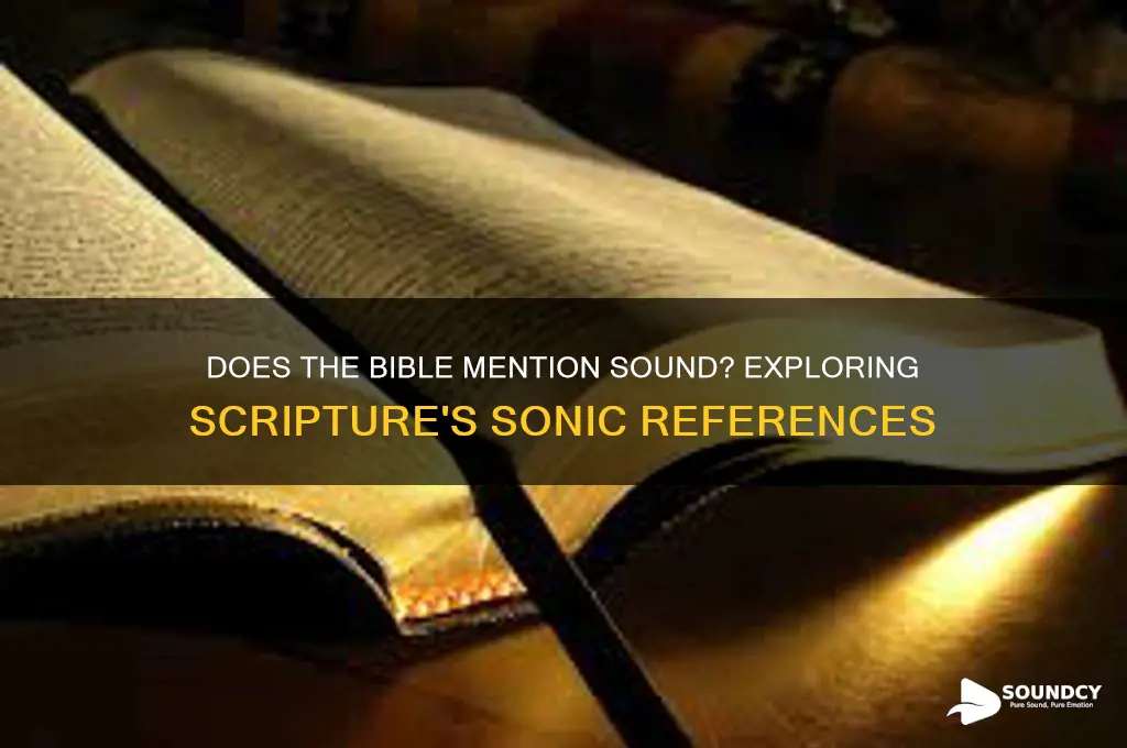 does the bible mention sound