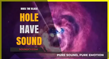 Black Hole Sound: Myth or Reality?