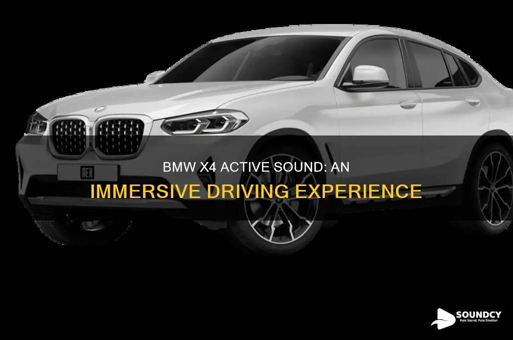 does the bmw x4 active sound