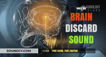 How the Brain Filters and Discards Unnecessary Sounds: Exploring Auditory Processing
