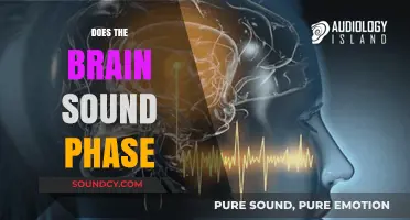 Unraveling the Mystery: Does the Brain Sound Phase Exist?