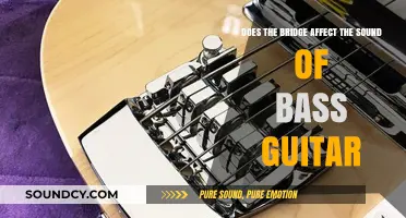 How Bridge Design Influences Bass Guitar Tone and Sound Quality