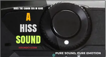 Canon EOS M Hiss Sound: Fact or Fiction? Unveiling the Truth