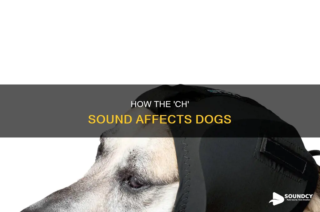 does the ch sound scare dogs