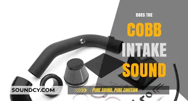 Does the Cobb Intake Sound Enhance Your Car's Performance and Tone?