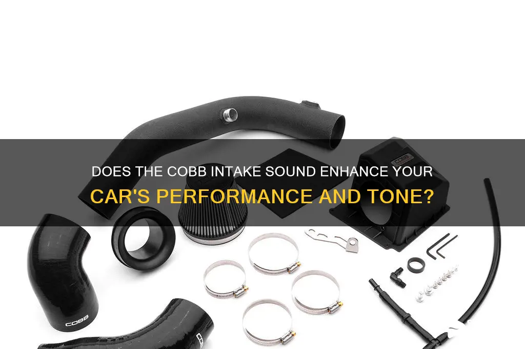 does the cobb intake sound