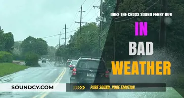 Cross Sound Ferry Operations: How Bad Weather Impacts Service Reliability