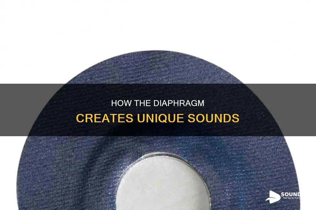 does the diaphragm have a sound