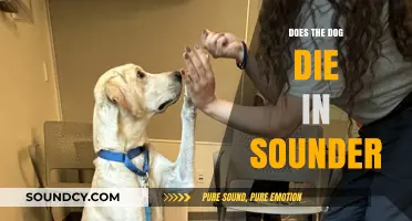 Sounder: A Heartbreaking Tale of a Boy and His Dog