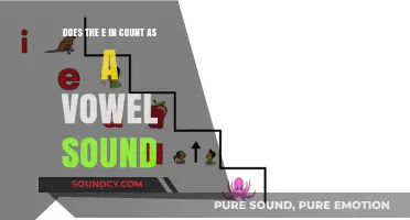 Is the Letter E Always a Vowel? Exploring Its Sound and Role