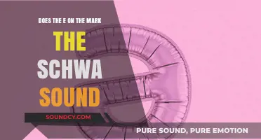 Does the Letter E Represent the Schwa Sound in English Pronunciation?