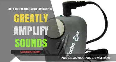 How the Ear's Unique Modifications Dramatically Amplify Sounds
