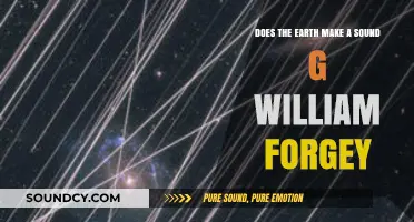 Does Earth Make a Sound? G. William Forgey's Insights Explored