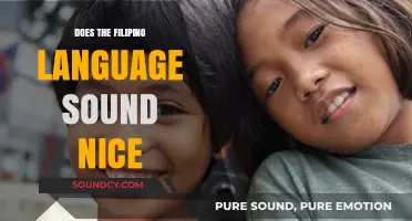 The Filipino Language: Beautiful or Not?