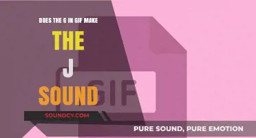 Does the 'G' in GIF Sound Like 'J'? The Pronunciation Debate
