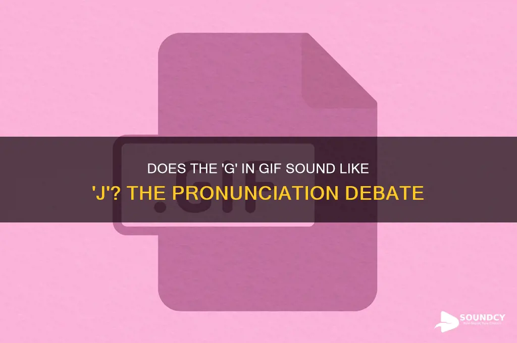 does the g in gif make the j sound