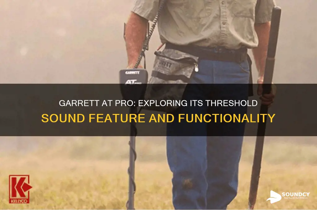 does the garrett at pro have a threshold sound