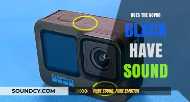 GoPro Black: Audio Quality and Features
