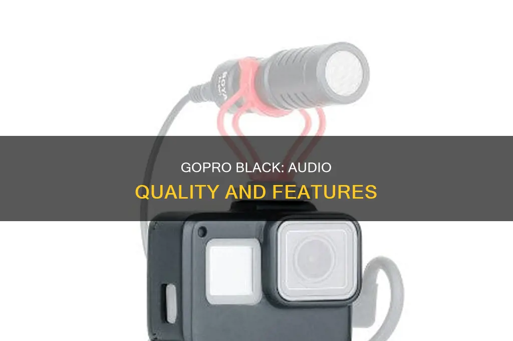 does the gopro black have sound