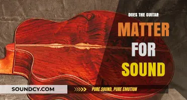 Guitars and Sound: Does the Guitar Make a Difference?