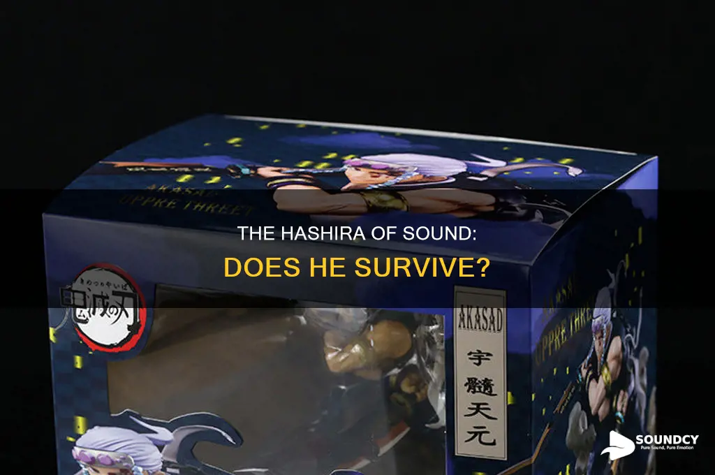 does the hashira of sound die