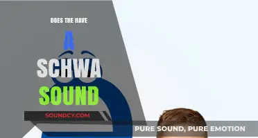 The Schwa Sound: Where Does It Hide?