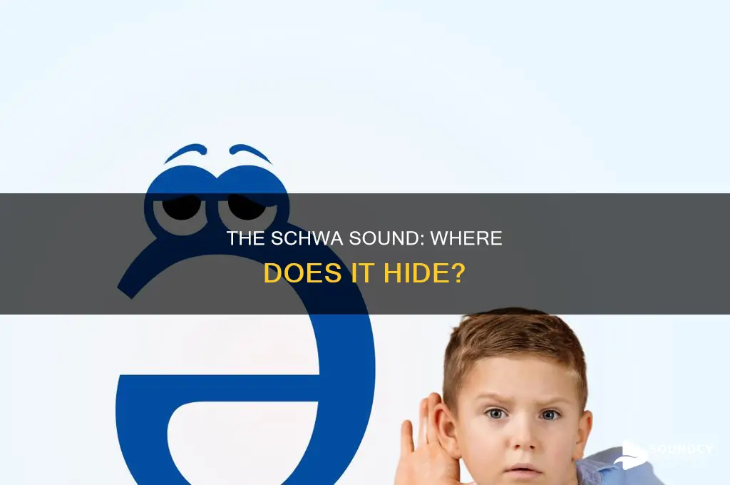 does the have a schwa sound