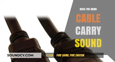 HDMI Cables: Audio and Video Transmission