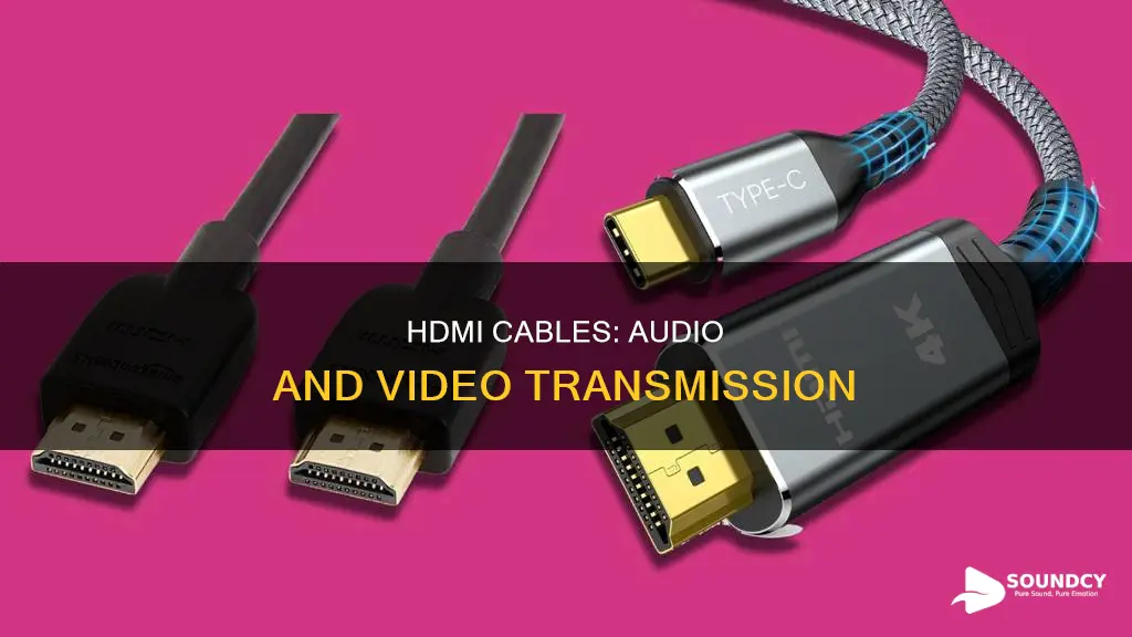 does the hdmi cable carry sound