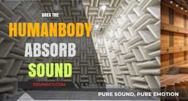 Can Our Bodies Absorb Sound? Exploring the Science Behind Acoustic Interaction