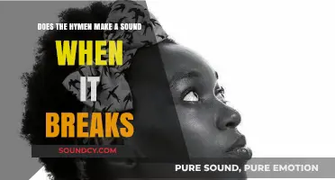 Does the Hymen Make a Sound When It Breaks? Facts Revealed