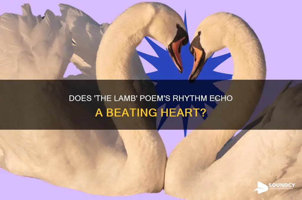 does the lamb the poem sound like a heart