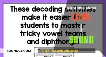 Does the Letter I Always Make the Long I Sound? Exploring Phonics