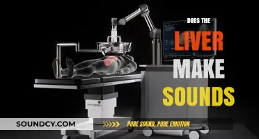 Does Your Liver Make Sounds? Unraveling the Myths and Facts