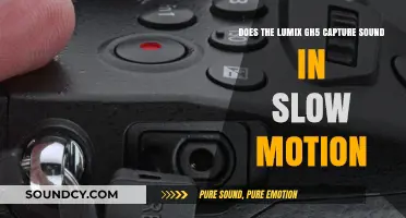Lumix GH5 Slow Motion: Does It Capture Audio in Slo-Mo?