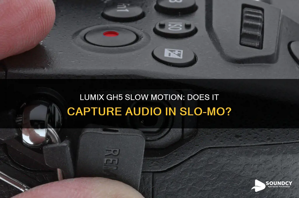 does the lumix gh5 capture sound in slow motion