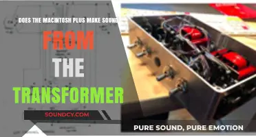 Macintosh Plus: Transformer's Role in Its Unique Sound Production