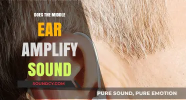 How the Middle Ear Amplifies Sound