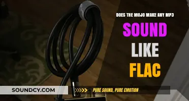 Mojo's Magic: Can It Transform MP3 to FLAC-Like Quality?
