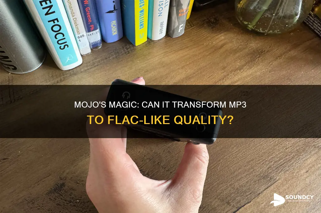 does the mojo make any mp3 sound like flac