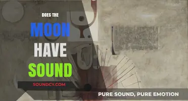 Does the Moon Have Sound? Exploring Lunar Silence and Science