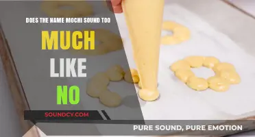 Mochi vs. No: Unraveling the Sound-Alike Confusion in Names