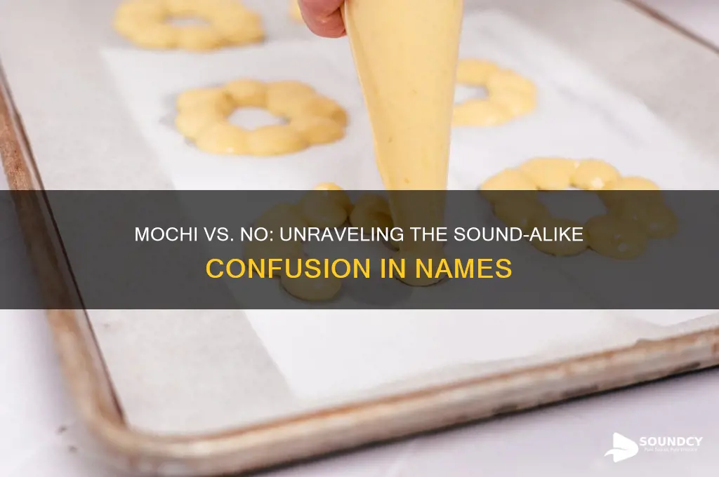 does the name mochi sound too much like no