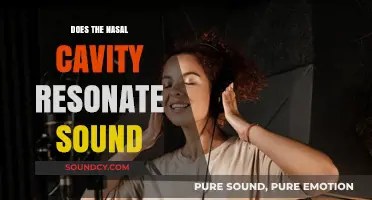 How Nasal Cavities Resonate and Transform Sound