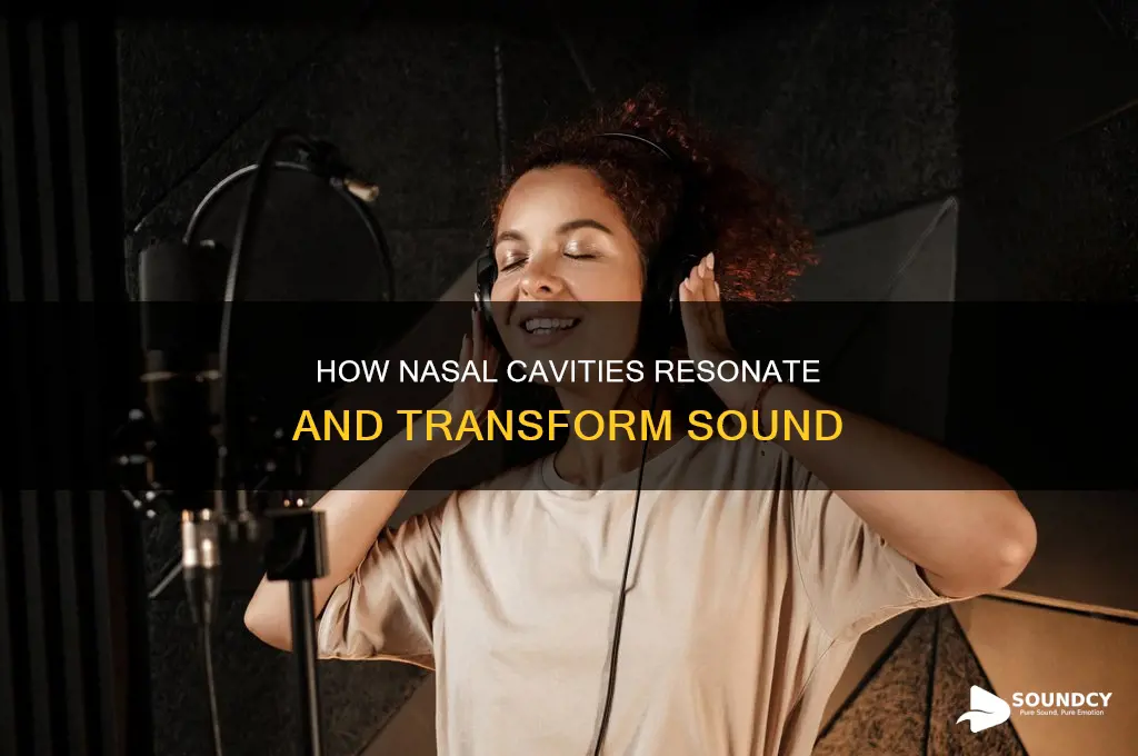 does the nasal cavity resonate sound