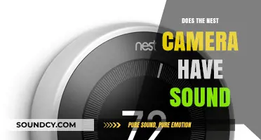 Nest Camera: Sound-Enabled Security