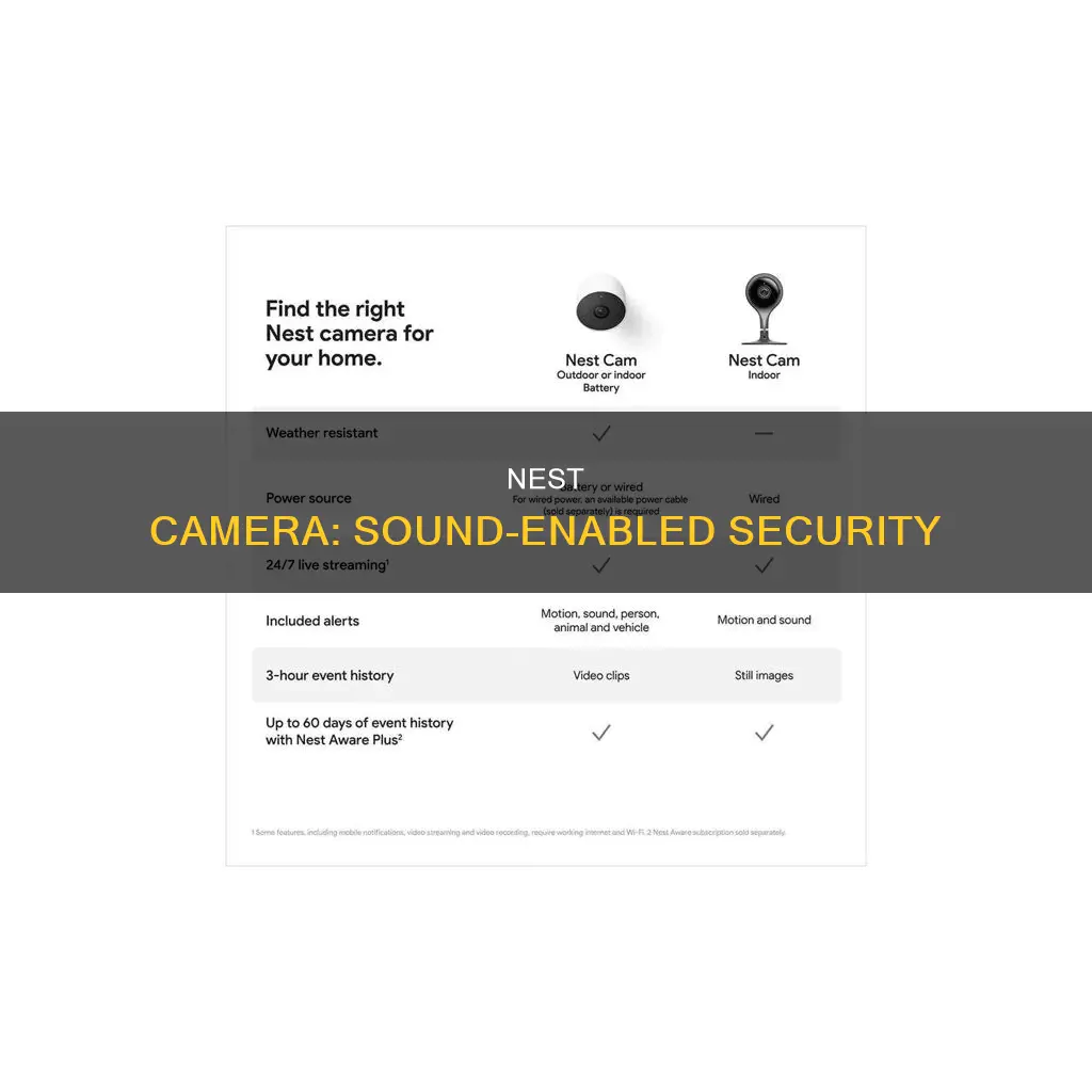 does the nest camera have sound